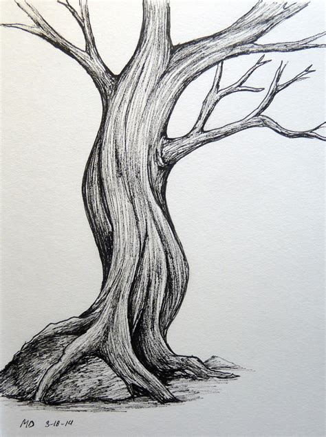 pics of a tree|pic of a tree drawing.